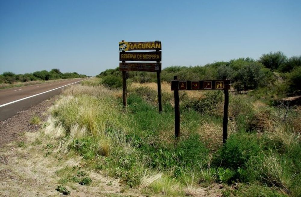 Reserva Ñancuñan.