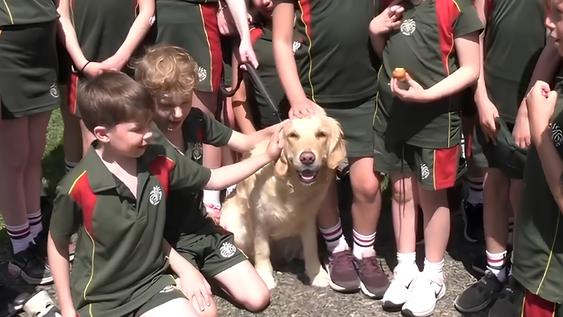 Los niños celebraron el cuarto cumpleaños de Willow, la perrita del colegio.&nbsp;