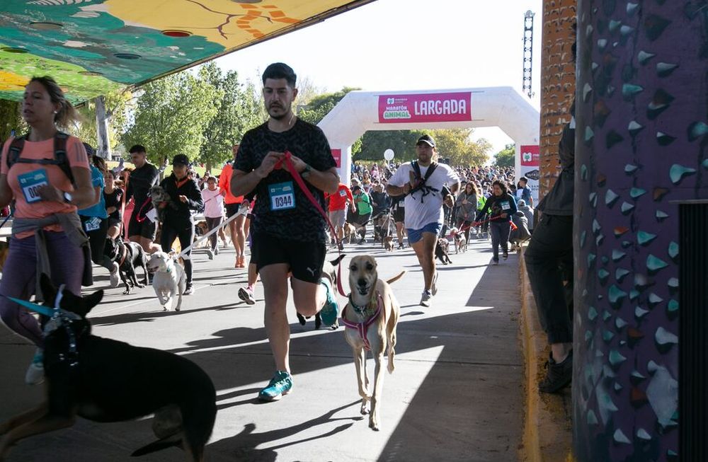 Este será el recorrido de la Maratón Animal 2023