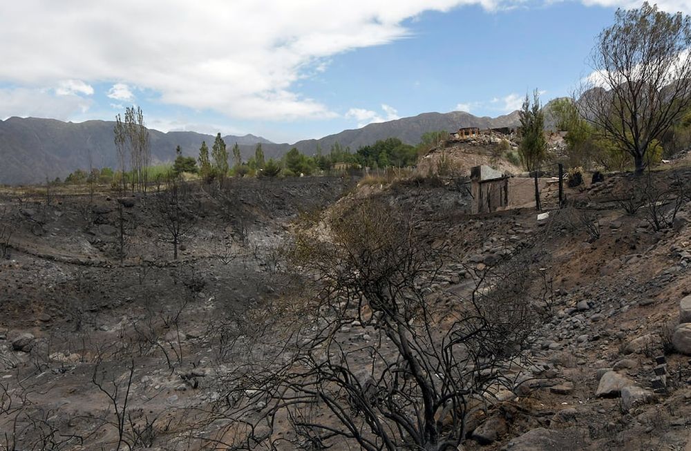 fin de semana crítico y catastrófico -con el viento Zonda se propagaron distintos focos de incendio que consumieron a unas 2.500 hectáreas en el piedemonte de Luján de Cuyo Portal SuizoFoto: Orlando Pelichotti