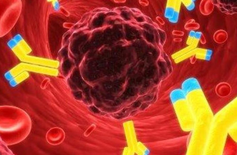 4 de setiembre: Día Mundial de la Leucemia