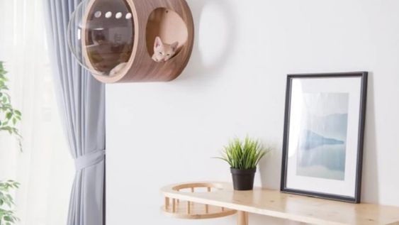 Arquitectura para mascotas: Construí su casa ideal