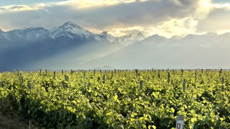 Los Andes | H4MHSEHH7ZHA5AGWHXQ5SANC3U.png?quality=75&smart=true&auth=ba75dac3b15e7c6657c97558e25f957efe7950af7e3cb85199749e16b09cea0b&width=980&height=640