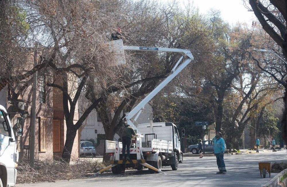 Cronograma de servicios públicos semanal