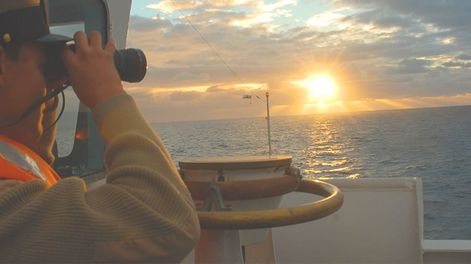 Prefectura Naval Argentina busca profesionales y técnicos en todo el país. Foto: Gentileza argentina.gob.ar