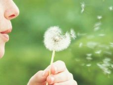 Día Mundial de la Alergia: qué son, cuáles son sus síntomas y cómo prevenirlas