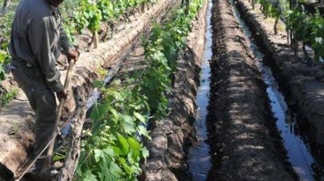 Los productores de hasta 30 hectáreas podrán optar por tres coberturas del Fondo Compensador Agrícola