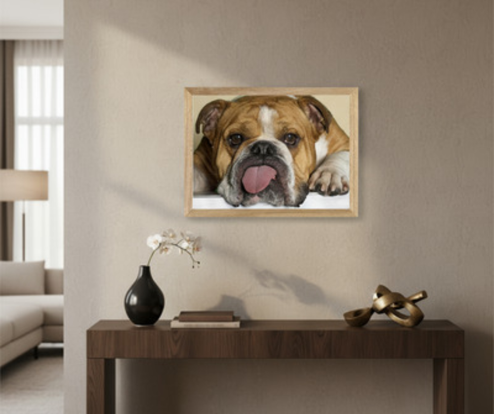 Mascotas. Fuente: Canva