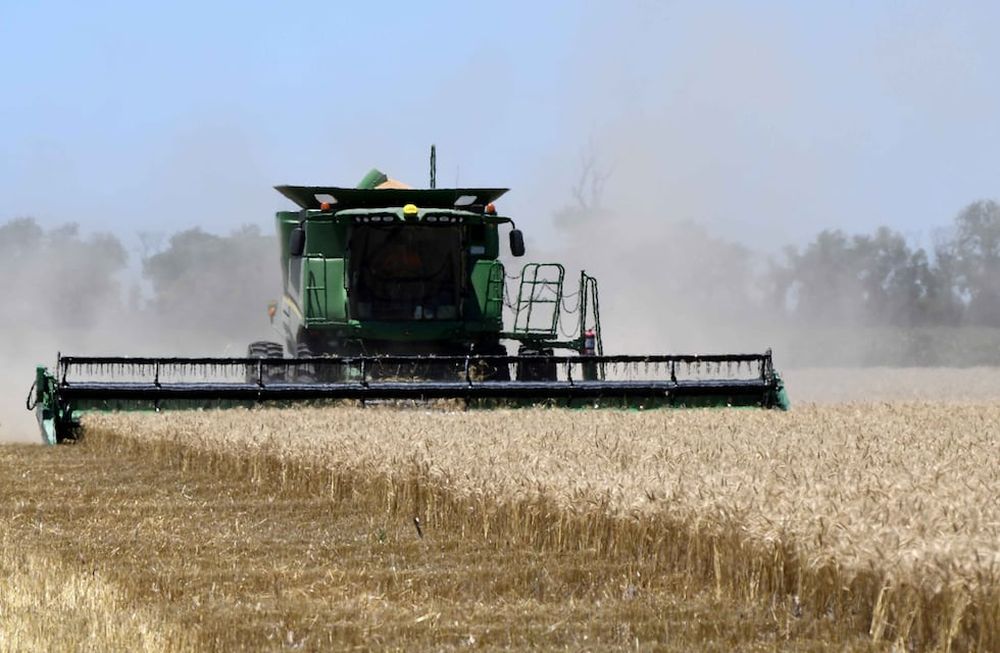 Después de enfrentar la peor cosecha desde 2015/2016, con la menor productividad desde 2009/2008, en Argentina El Niño debe impulsar la recuperación esperada para 2023/2024