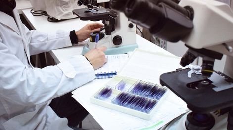 Los Andes | XRPLFX5FBZAYNIHSCMPYX6UCUA.jpg?quality=75&smart=true&auth=e325192d55b3f57b27f52f392ed762615b12677955a991006f7da0abb4a4b6c9&width=980&height=640