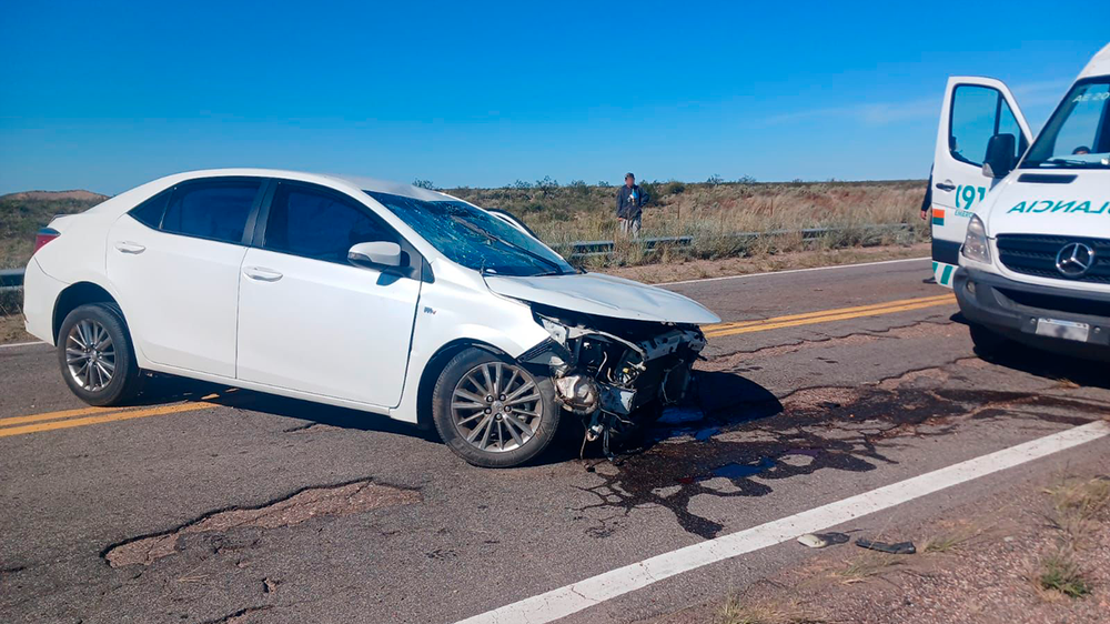 Un hombre resultó lesionado tras sufrir un siniestro vial en San Rafael.