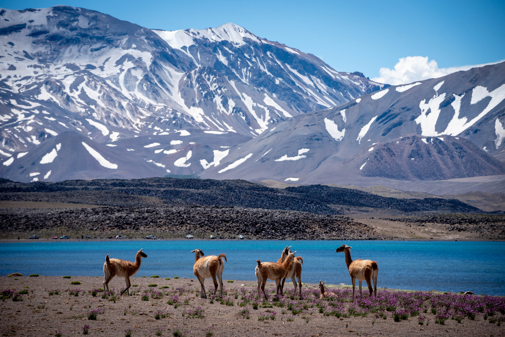 En qué puesto quedó la Argentina entre los países más lindos del mundo. Gentileza