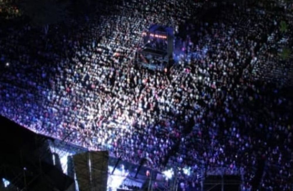 Más de 25 mil personas disfrutaron del Festival del Malbec, el Olivo y la Familia