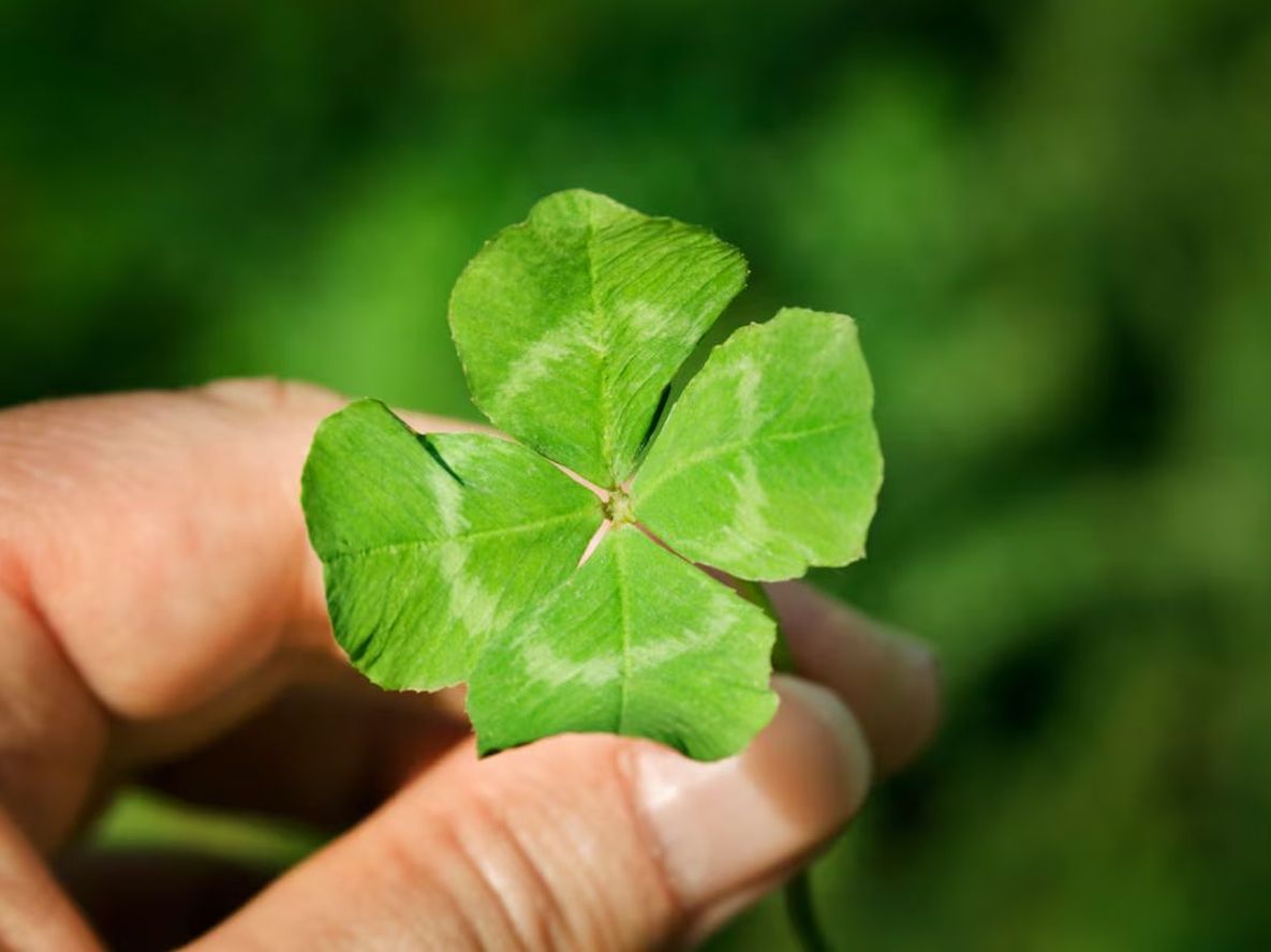 Estas simples acciones sencillas se convierten en rituales positivos para el bienestar en la vida cotidiana.