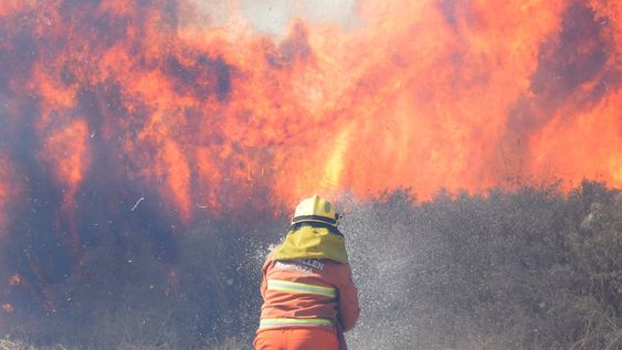 En la tarde de este lunes, en el callejón Ferrer de Guaymallén, se produjo un incendio en una zona de pastizales y cañaverales.