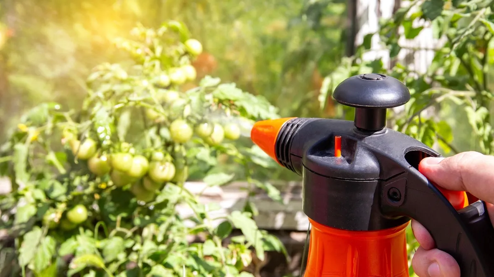 El fertilizante natural ideal para tu jardín, jardinería y plantas.