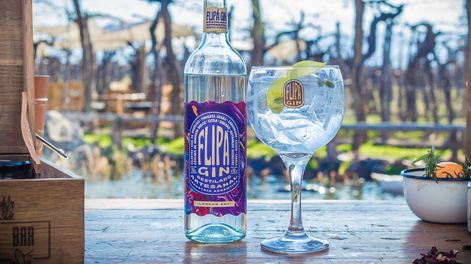 Flipá London Dry fue distinguido como uno de los mejores gin argentino en los World Drinks Awards 2025 .