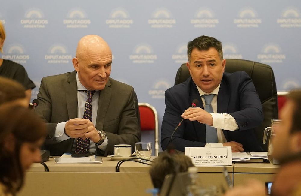 José Luis Espert y Gabriel Bornoroni, presidentes de las comisiones de Presupuesto y Legislación General, respectivamente (Foto: Clarín)