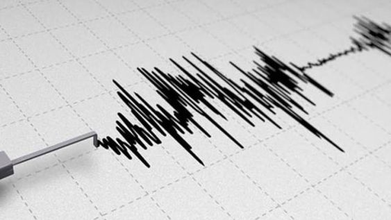 Fuerte temblor en Mendoza de magnitud de 5 grados.