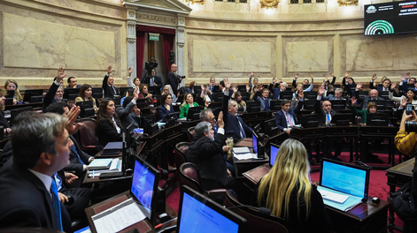 Choque entre La Libertad Avanza y el bloque peronista mientras se debate en el Senado.