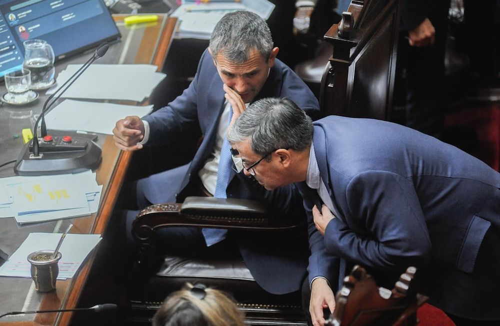 La eliminación de las PASO no tuvo apoyo en Diputados pero avanza el proyecto de Ficha Limpia. Foto: Federico Lopez Claro