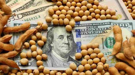 Dólar soja