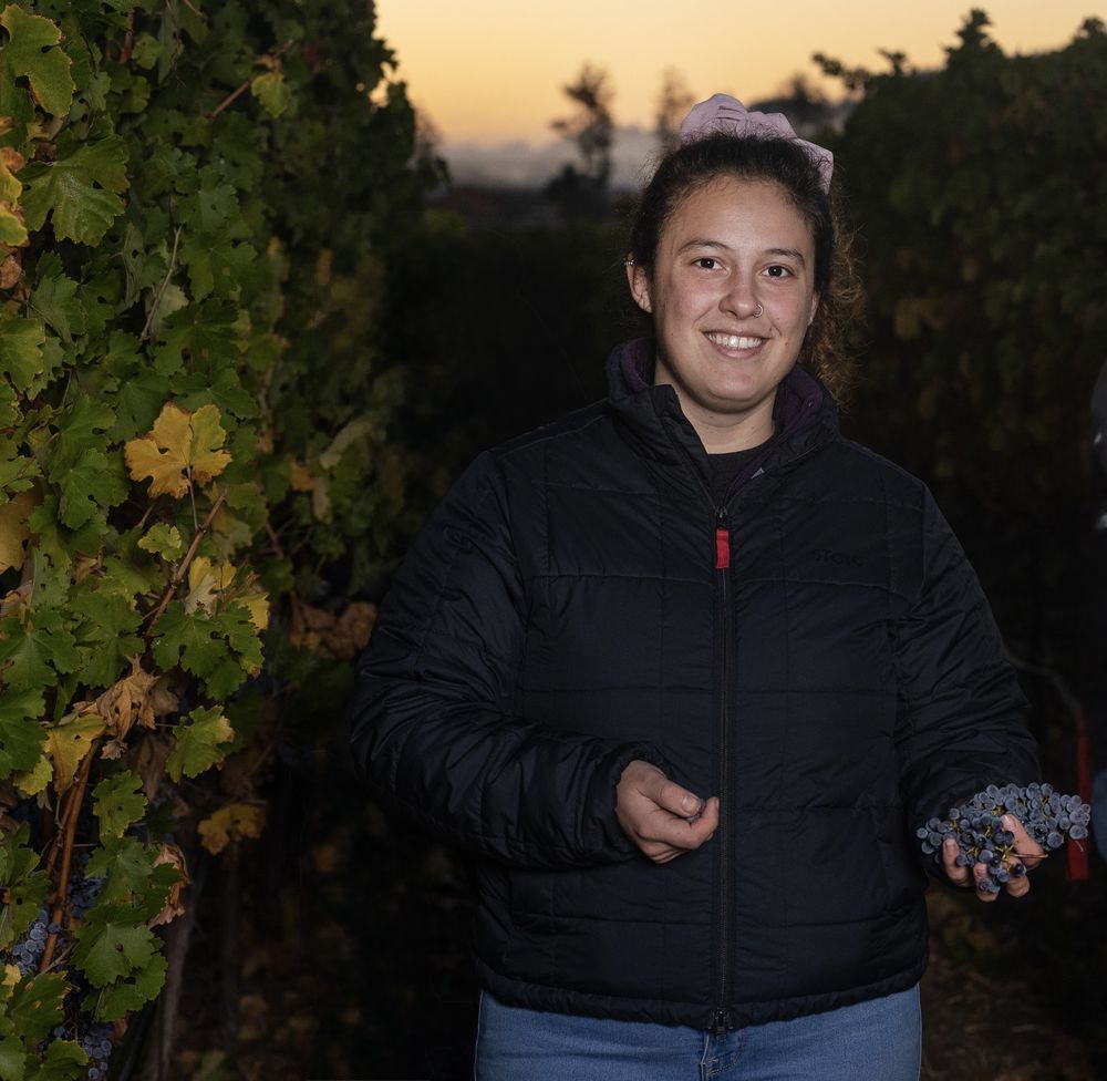 Quién es la enóloga mendocina que brilla en Estados Unidos con sus vinos y reconocimientos