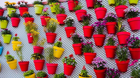 Aprovecha estas técnicas de reciclaje para reutilizar las macetas viejas que ya no usas