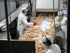 Granja Tres Arroyos cerró otra planta industrial y se encamina al cierre definitivo