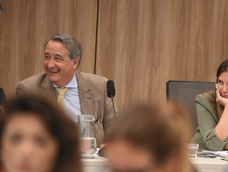 Nicolas Mayoraz y Silvia Lospennato, en el plenario de comisiones por Ficha Limpia. Foto Federico López Claro | Clarín&nbsp;