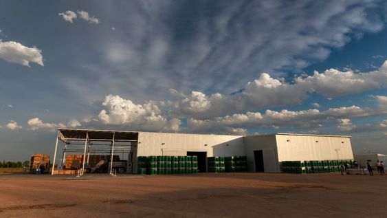 La Pulpera municipal, emplazada en Cuadro Nacional, en San Rafael exportará fruta de los productores de la zona
