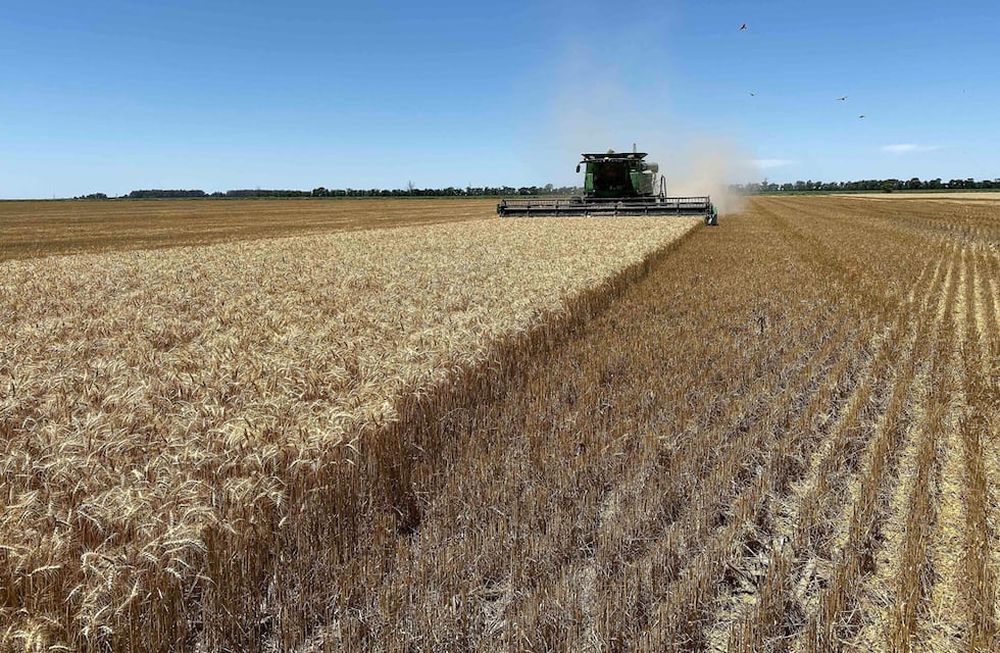 Los argentinos, que vivimos en un país bendecido por sus recursos naturales, por su clima, su extensión y hasta por su ubicación, hemos vivido, sin embargo, de crisis en crisis.