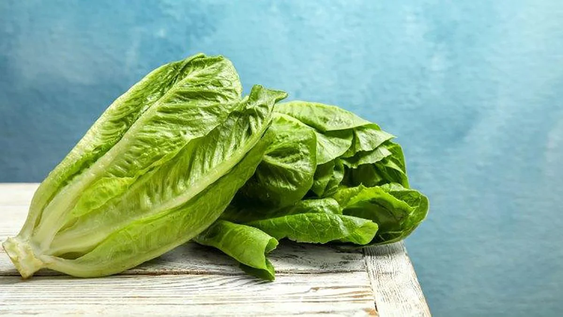 Verduras: ¿dónde guardar la lechuga para que no se ponga fea?