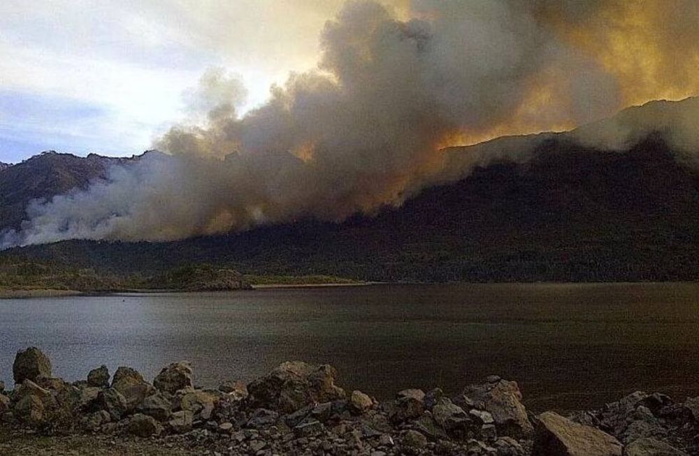 Incendio en el Parque Nacional Los Alerces. (archivo)