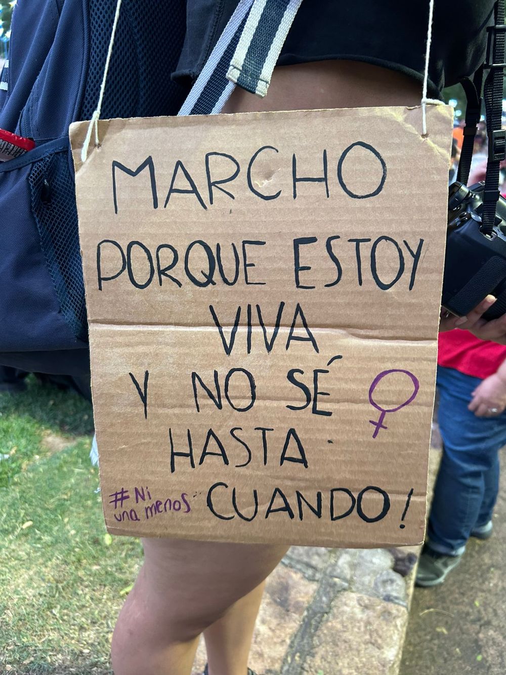 Uno de los carteles en la manifestación de Ni Una Menos Mendoza: 