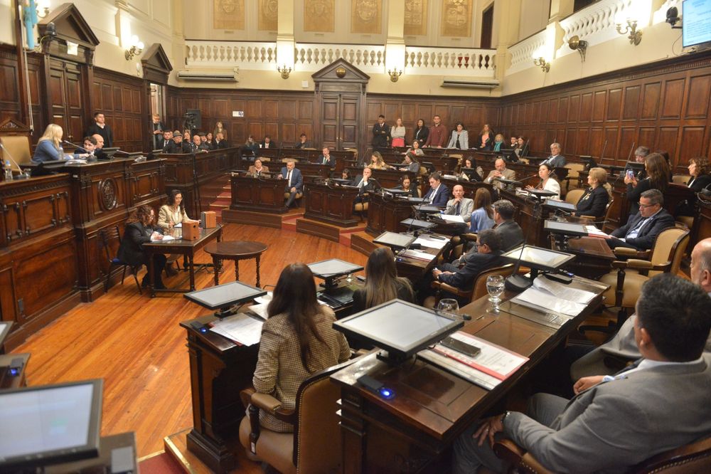 El Senado le dio media sanción al proyecto de exploración de litio Don Luis y Otro.&nbsp;