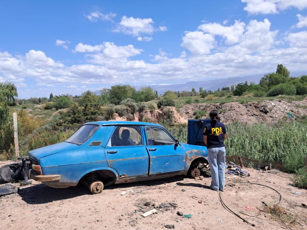 Desbarataron un desarmadero clandestino y recuperó siete autos robados