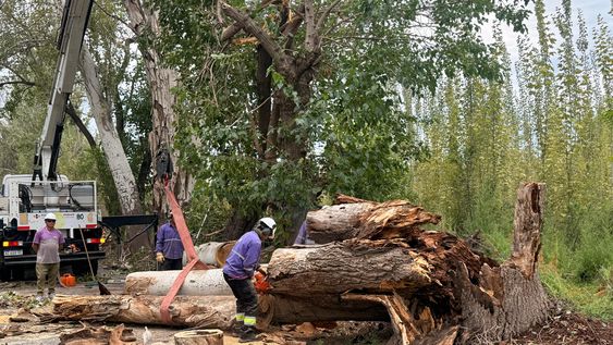 guaymallen intensifica operativos para normalizar la situacion tras el temporal