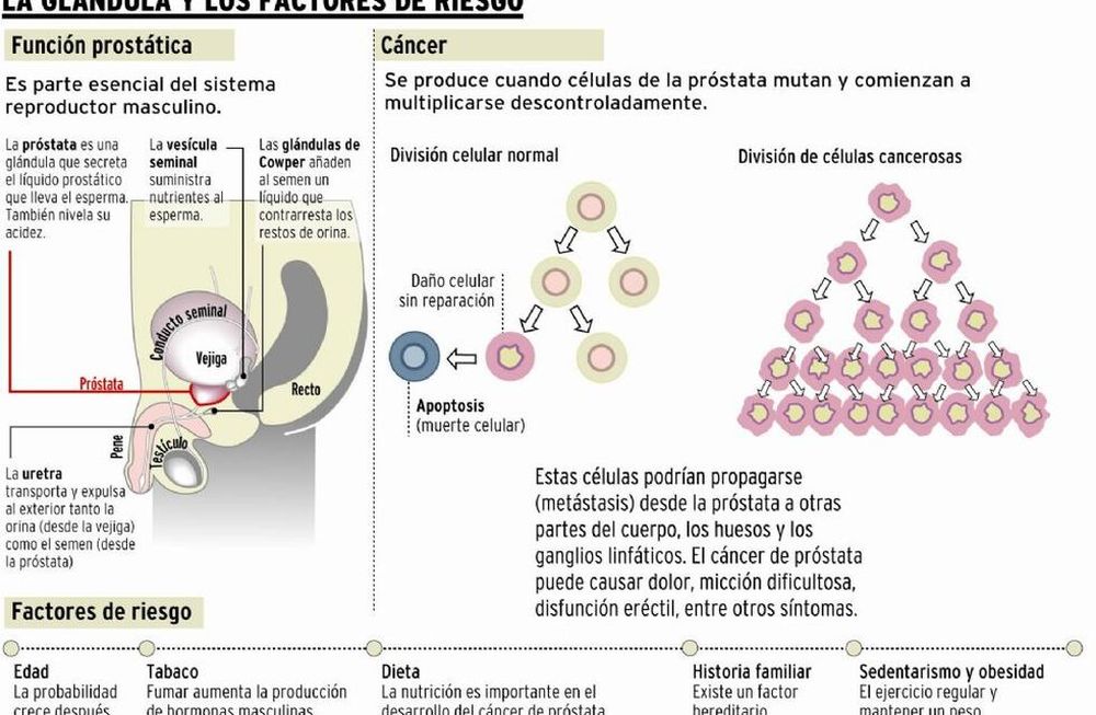 Cáncer de próstata: la genética duplica las chances de tenerlo