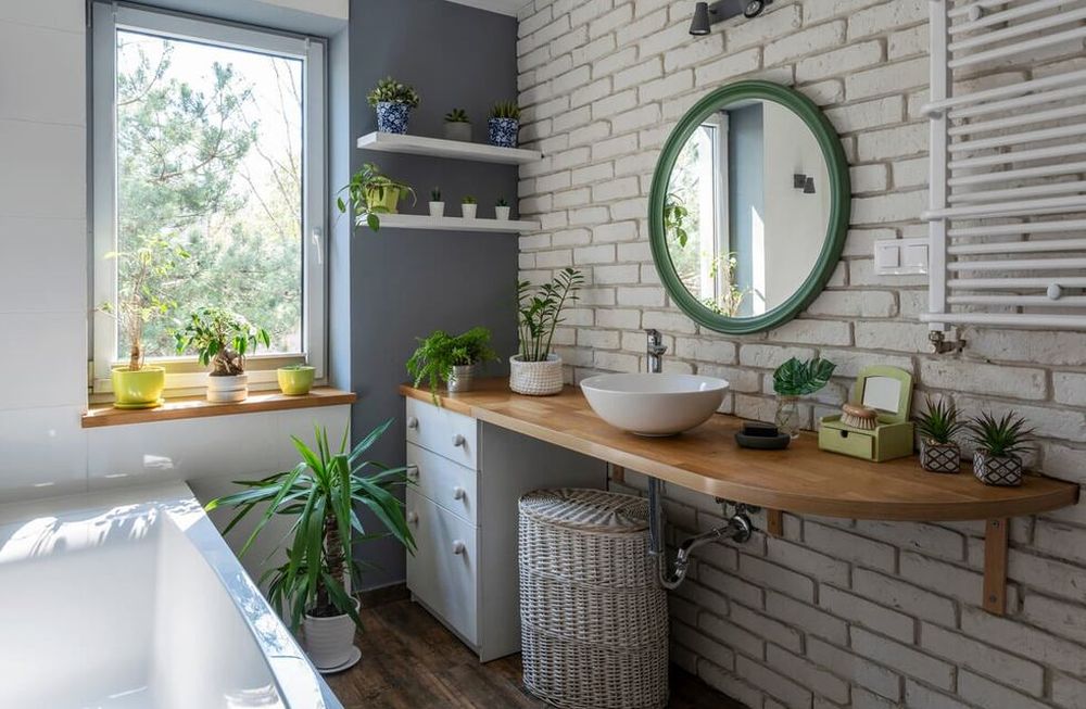Plantas en el baño