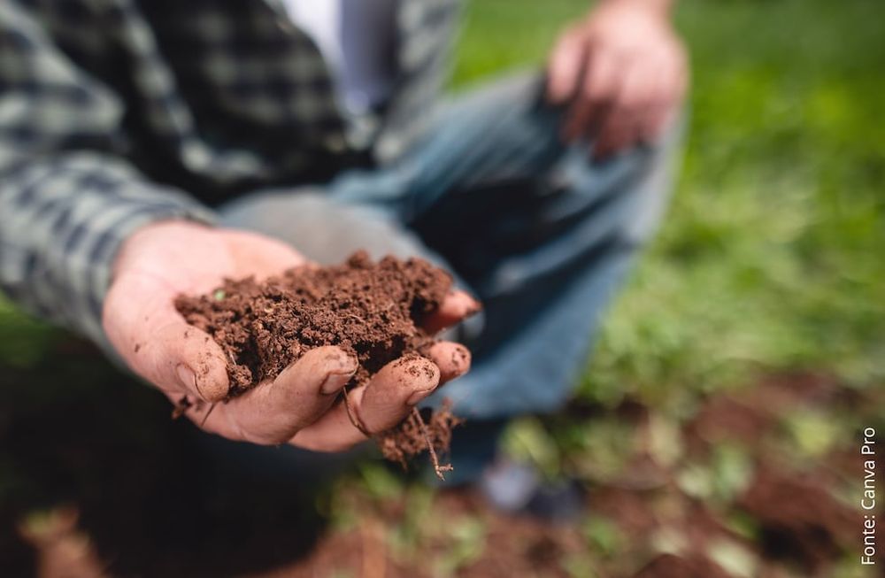 Los agricultores que adoptan la agricultura regenerativa están dispuestos a invertir tiempo y esfuerzo en este proceso de restauración y de reconexión con la tierra.