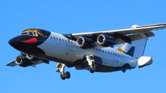 La compañía chilena Aerovías DAP lanzó un vuelo especial Mendoza-Santiago de Chile. Será en un avión BAe 146.