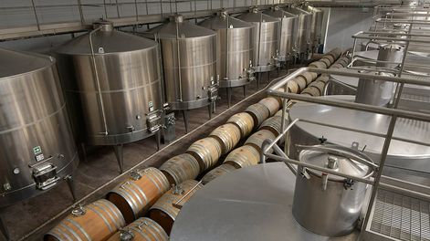 La industria del vino puso sobre la mesa las prioridades para la nueva gestión del INV. - Foto: Orlando Pelichotti