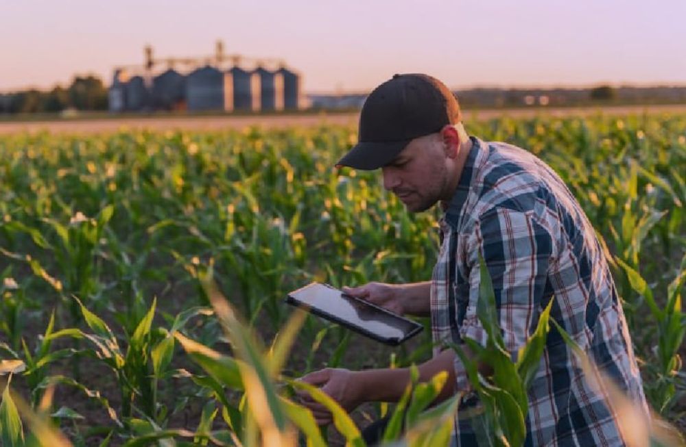 Expoagro 2024: Telecom brinda nuevas soluciones tecnológicas y más conectividad en la ruralidad.