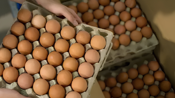 Maple de huevos: esta es su función oculta. Maple de huevos: esta es su función oculta.