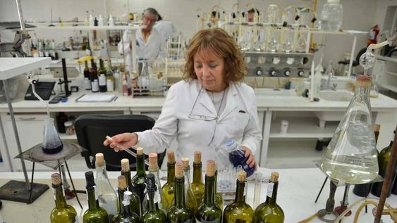 Restablecer el ex consejo  directivo del INV