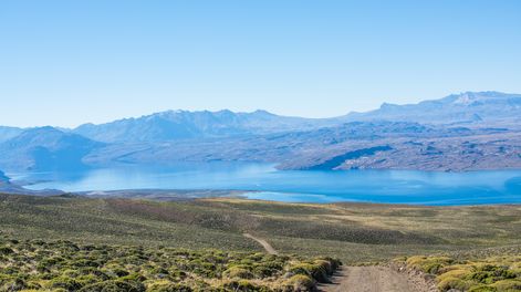 Facundo Kachewski del CAP supervisa el desarrollo del viñedo en Lago Posadas, clave para el futuro vitivinícola de la provincia.