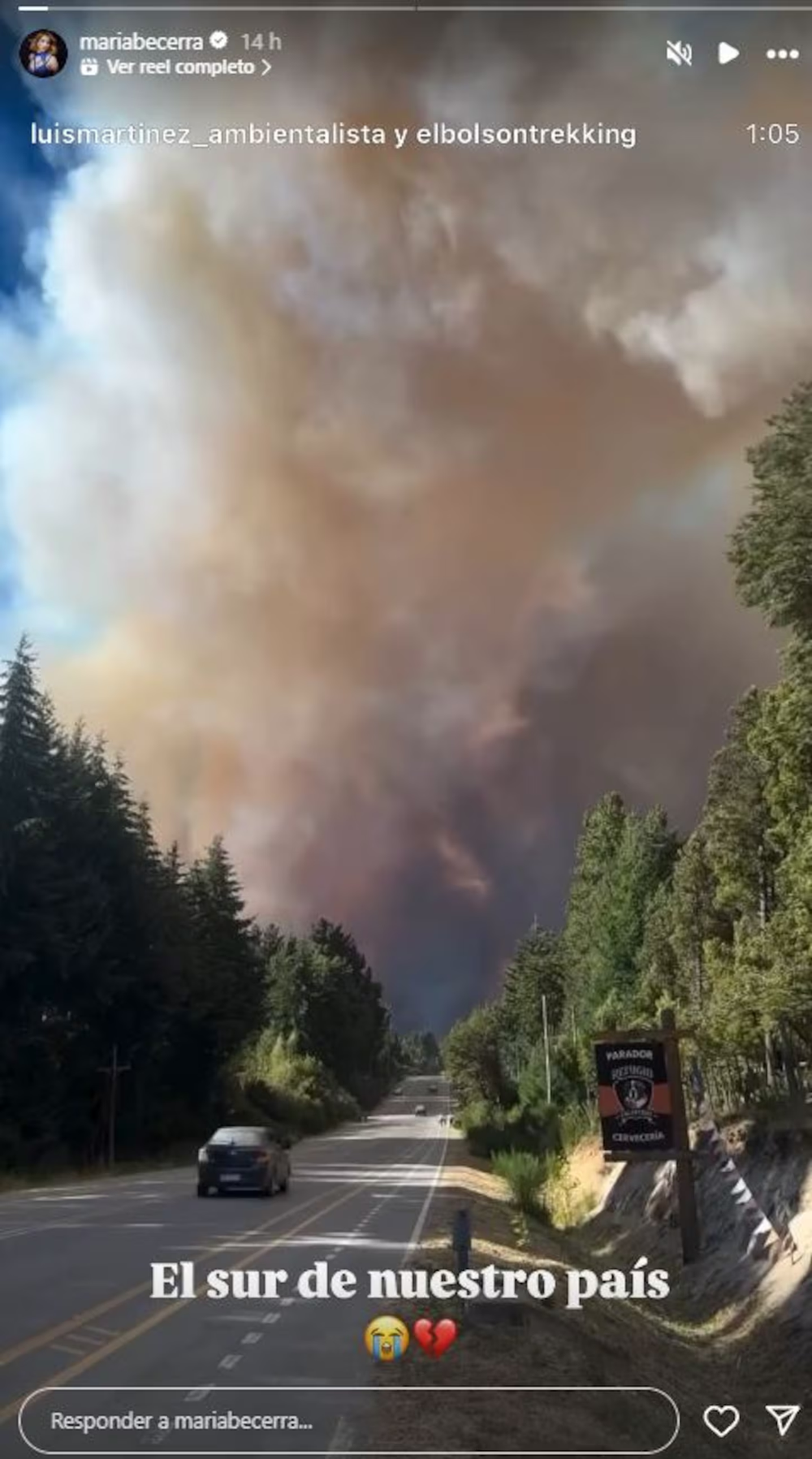 María Becerra compartió información para colaborar ante los incendios en la Patagonia.