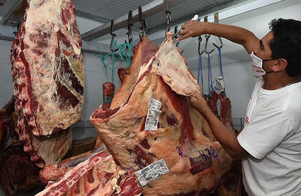 Los empresarios del sector aseguran que hay poca oferta en el mercado, lo que presiona los precios hacia arriba. Foto: José Gutierrez / Los Andes