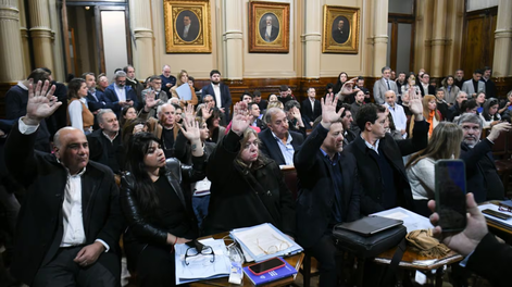 Senado: la oposición avanzó con leyes previsionales y de discapacidad.